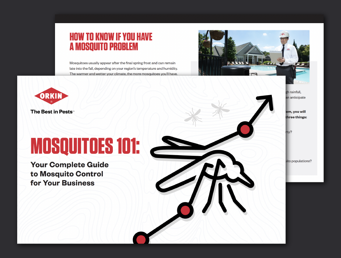Mosquitoes 101: Your Complete Guide to Mosquito Control for Your Business